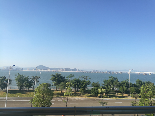 IMG_20180928_155941.jpg